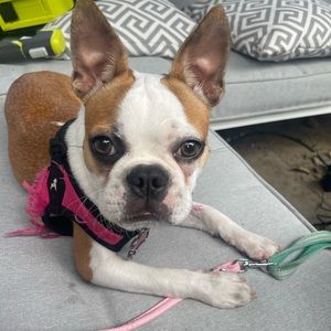 Meet your Posher, Alexandra